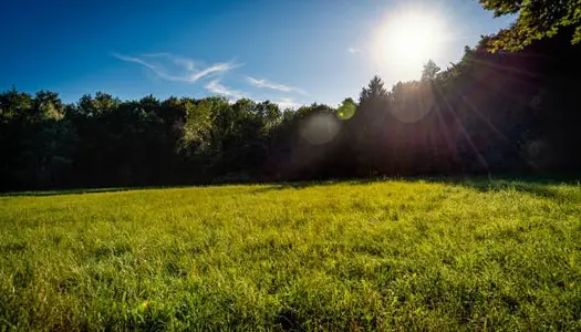 Terrain de 519m² à Provin