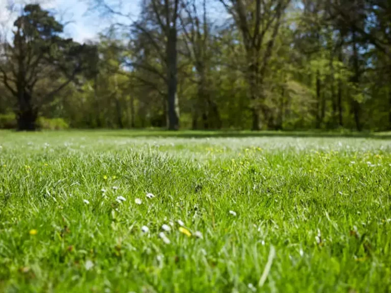 Terrain de 1072 m² à Estaires