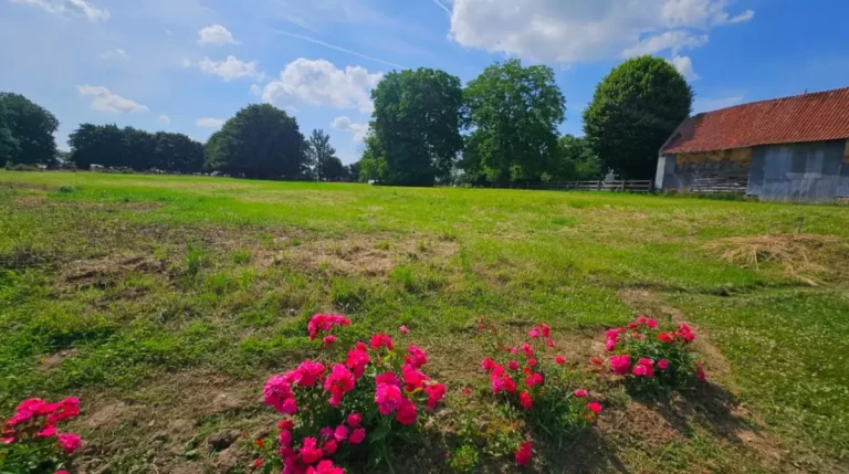 Terrain de 3883 m² à Avesnes-le-Comte