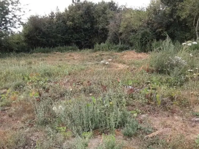 Photo du terrain à Villers-au-Bois