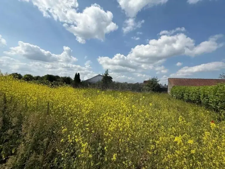 Terrain de 814 m² à Santes