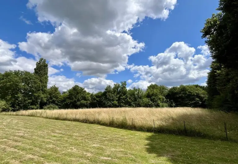 Terrain de 1600 m² à Villeneuve d’Ascq