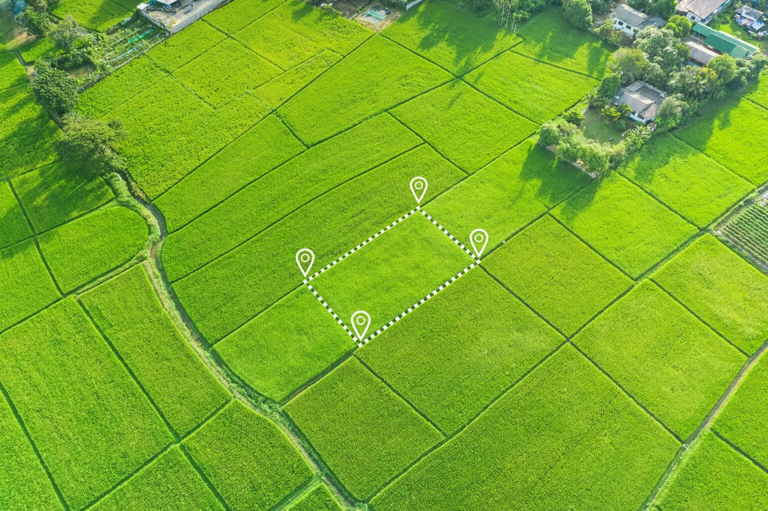 N°2 La recherche du terrain idéal