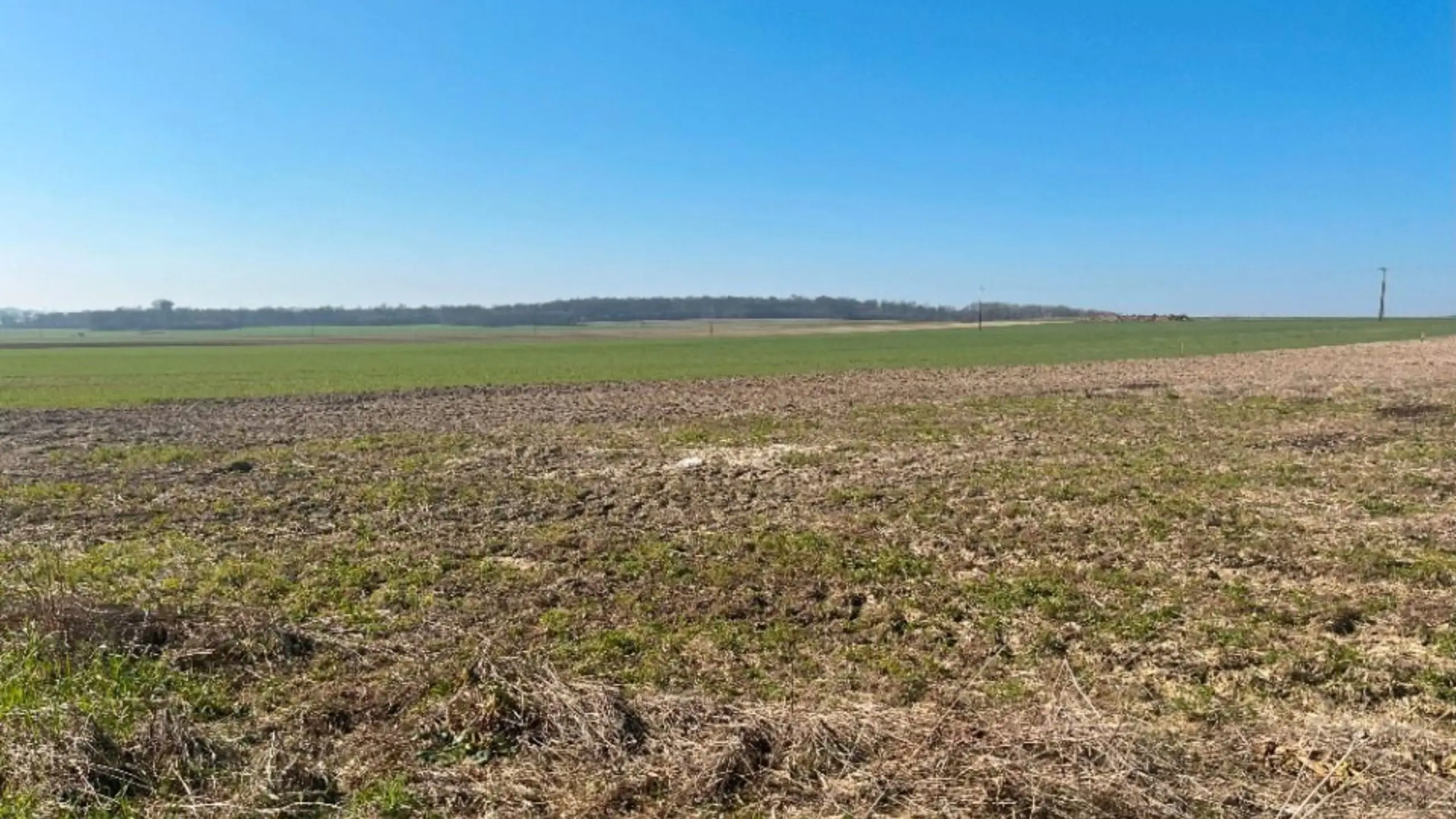 Photo du terrain :  Terrain de 411 m² à Haute Avesnes