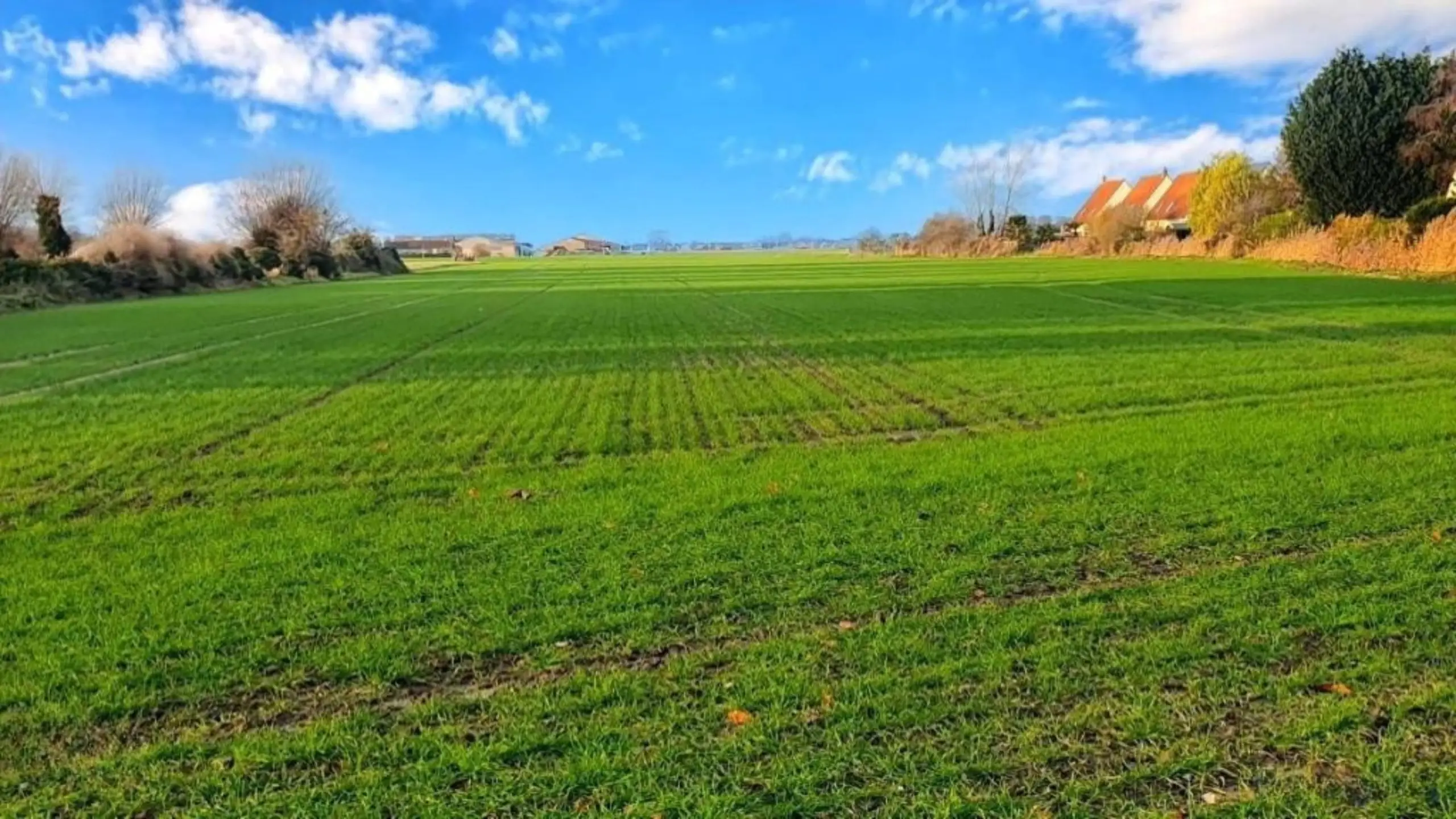 Photo du terrain :  Terrain de 502m2 à Saint-Folquin